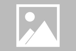 Scout在日本队比赛中重返赛场，重要助攻引发热议！(孙颖莎日本公开赛回放)
